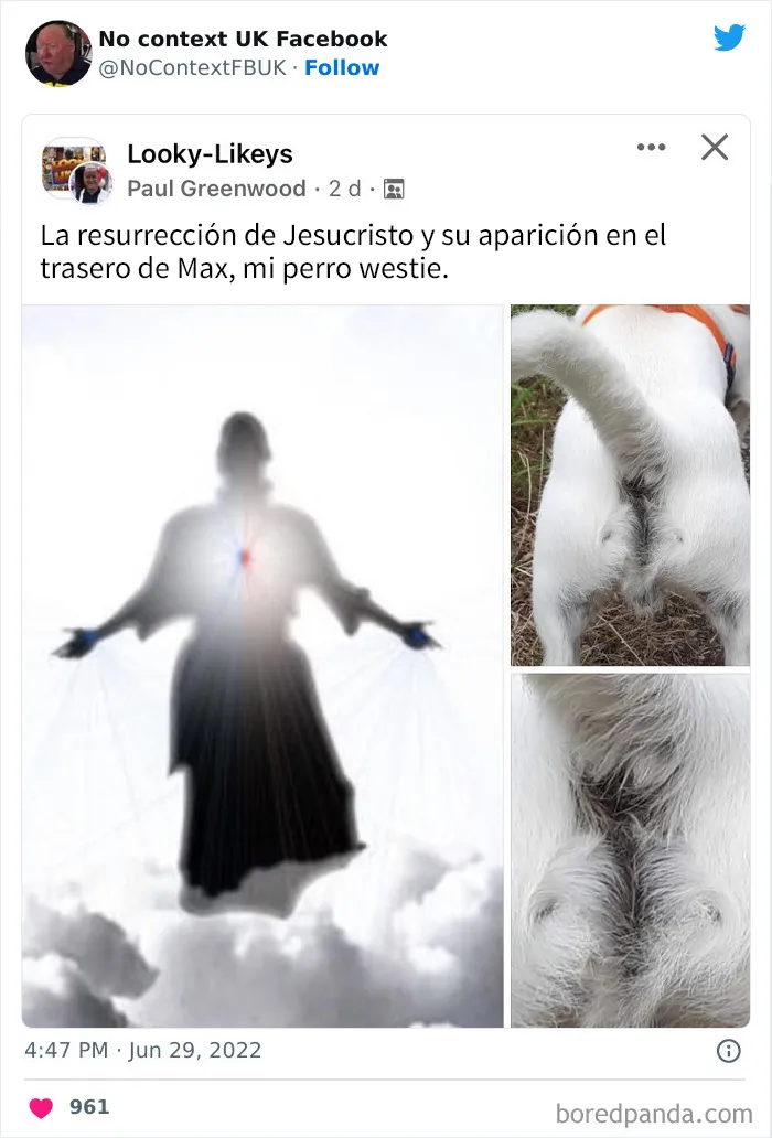 20 Imágenes divertidas de Reino Unido fuera de contexto que definen muy bien el humor británico