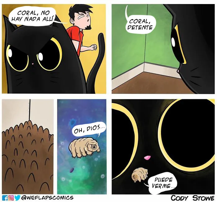 15 Divertidos cómics que ilustran la realidad de vivir con un gato