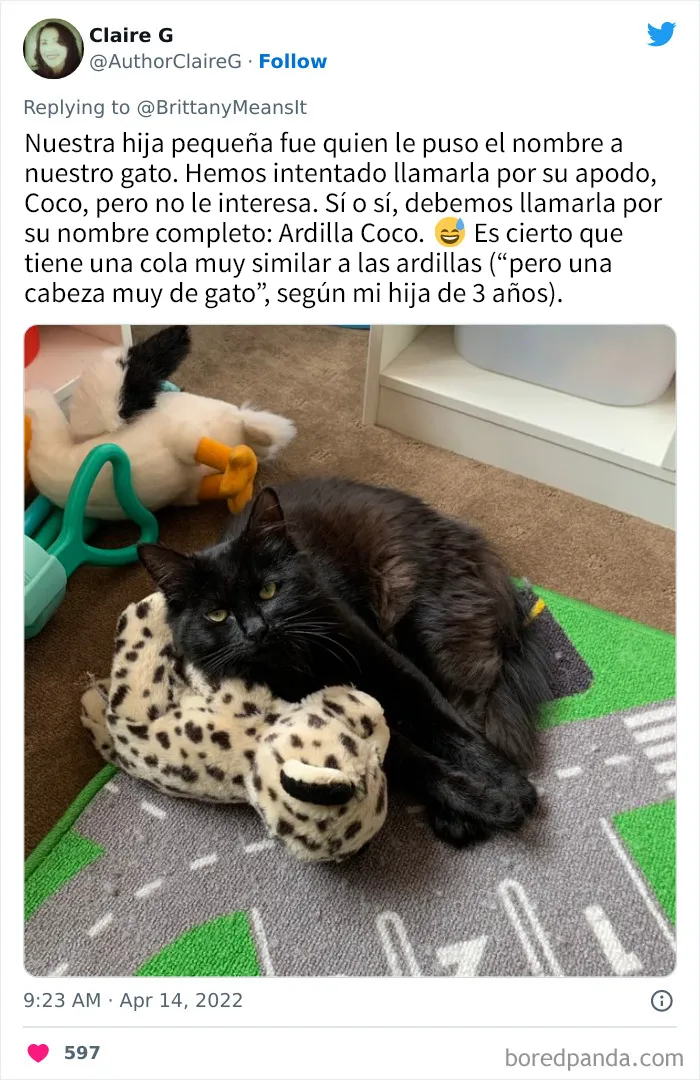 20 Divertidos nombres que la gente puso a sus gatos y que hacen reír a los veterinarios
