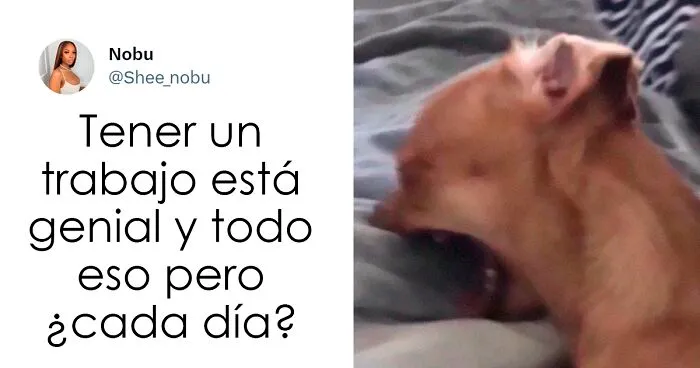 20 Memes muy sarcásticos que te harán reír