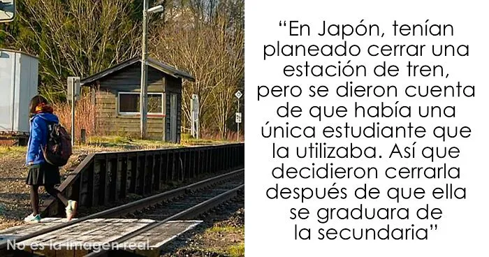 ¿Cuál es el dato más reconfortante que conoces?: Aquí hay 30 respuestas que mejorarán tu día