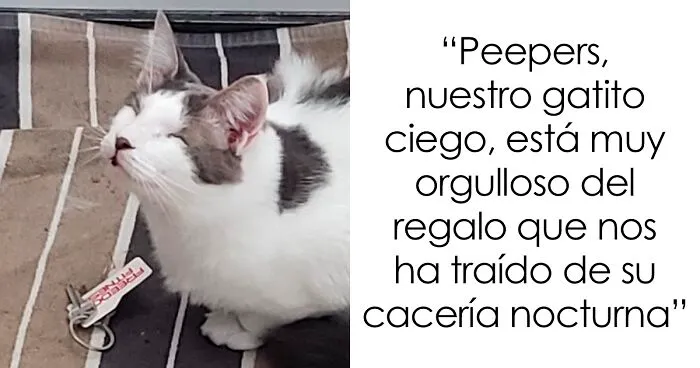 “Con amor, de tu mascota”: 40 Dueños recibiendo divertidos regalos de sus mascotas