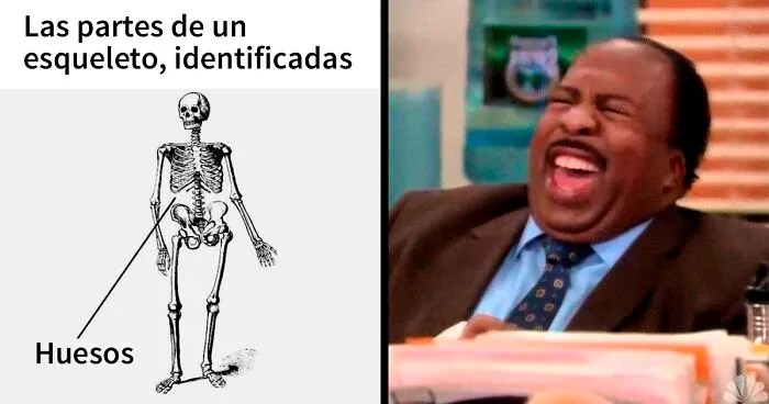 20 Guías tan geniales como divertidas más centradas en hacer reír que en informar