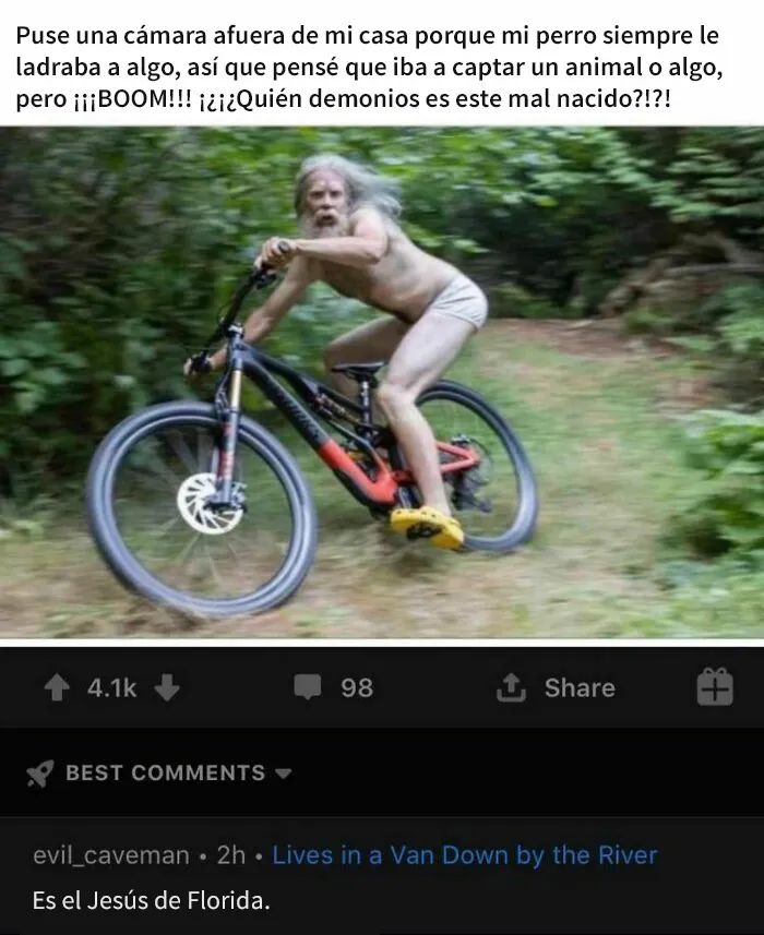 20 Imágenes mostrando la locura que se vive en Florida cada día