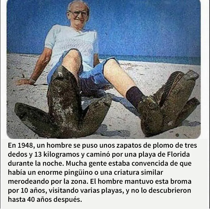 20 Imágenes mostrando la locura que se vive en Florida cada día