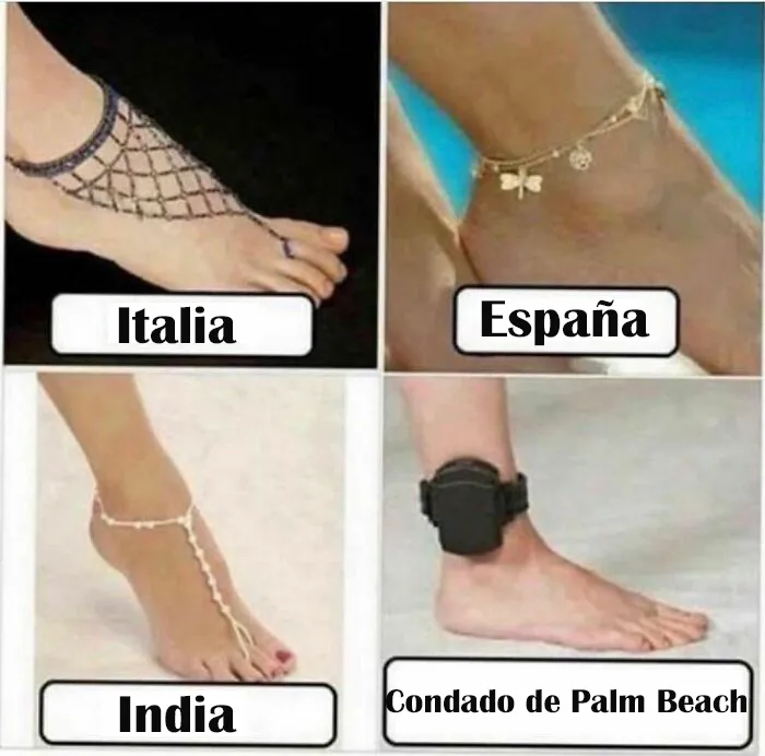 20 Imágenes mostrando la locura que se vive en Florida cada día