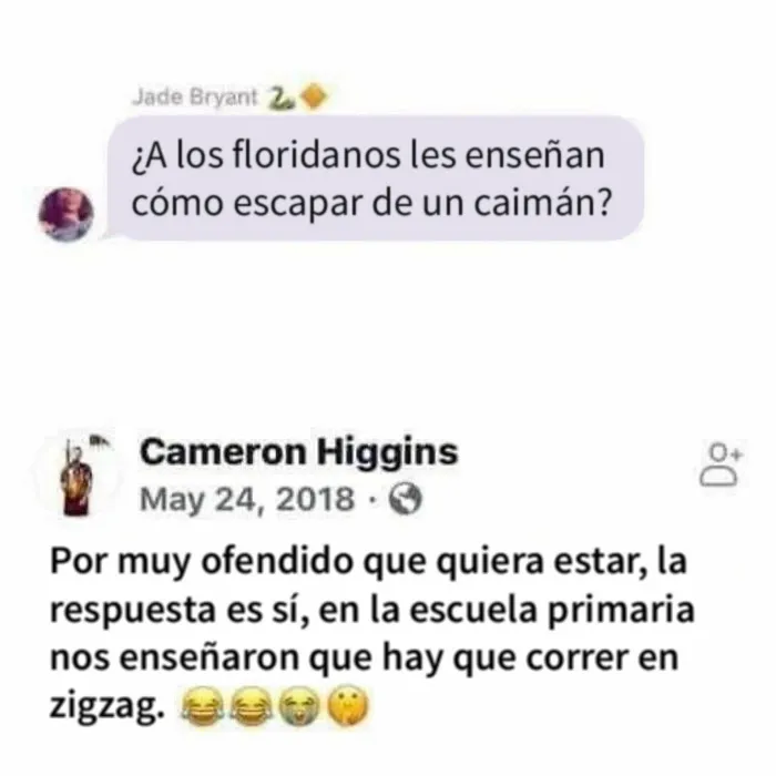 20 Imágenes mostrando la locura que se vive en Florida cada día