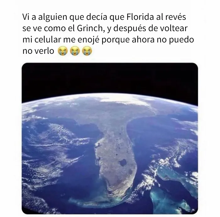 20 Imágenes mostrando la locura que se vive en Florida cada día
