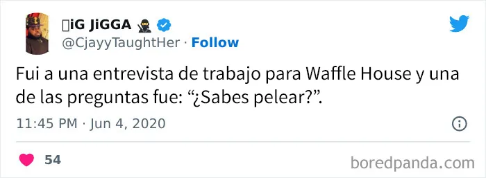 20 Imágenes mostrando la locura que se vive en Florida cada día
