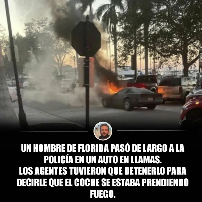 20 Imágenes mostrando la locura que se vive en Florida cada día