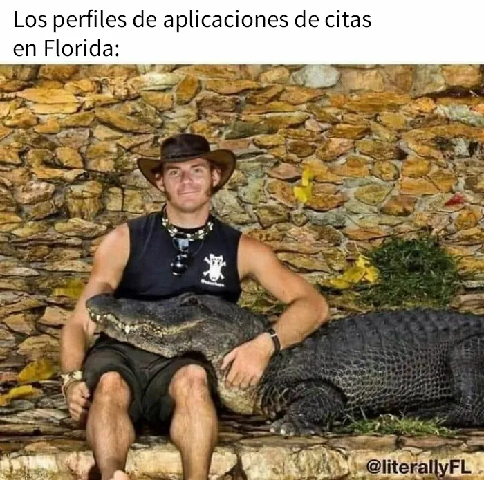20 Imágenes mostrando la locura que se vive en Florida cada día