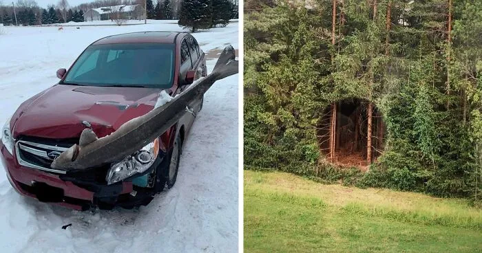 40 Imágenes sin contexto que realmente cuesta explicar
