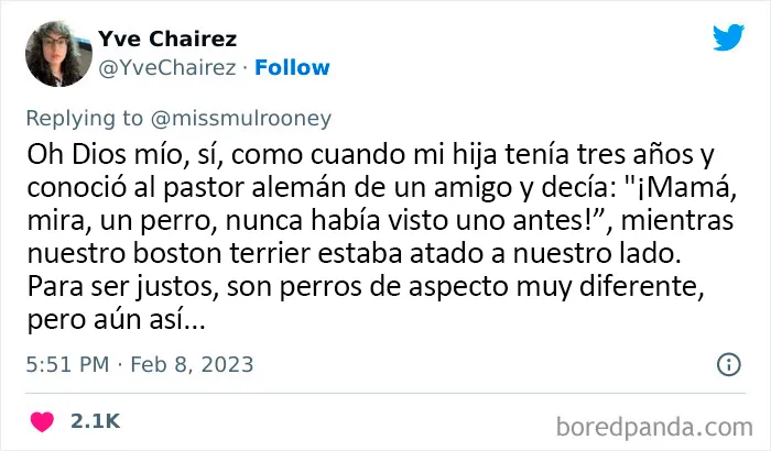 20 Adorables momentos de niños dándose cuenta de que sus mascotas no son humanas