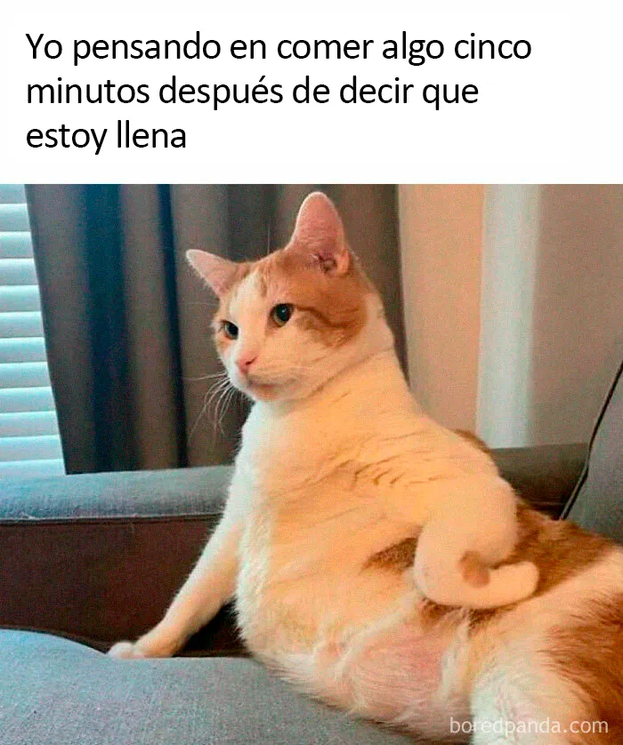 20 Memes muy sarcásticos que te harán reír
