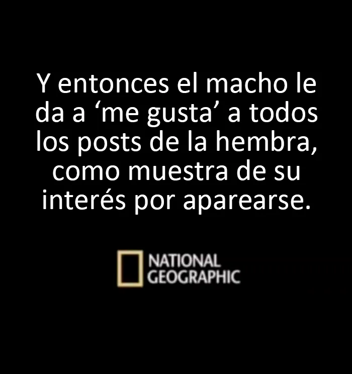 20 Divertidos y educativos memes que podrían enseñarte algo
