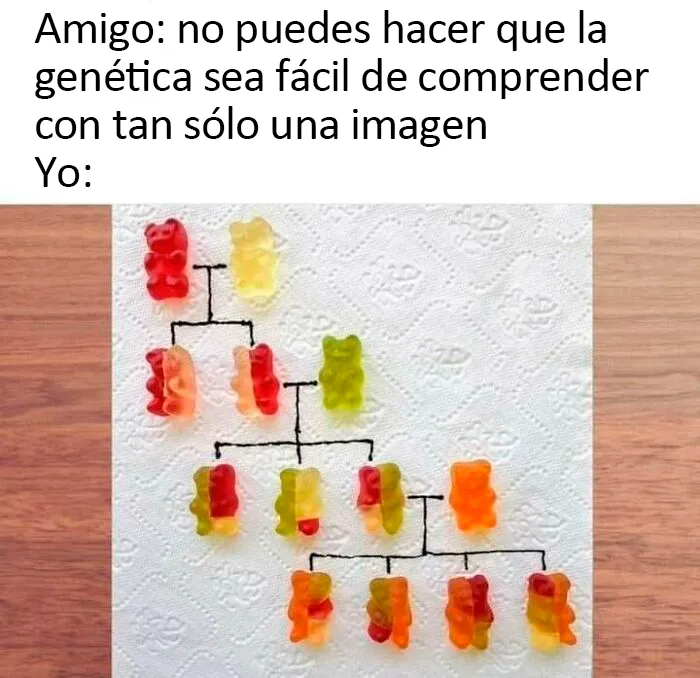20 Divertidos y educativos memes que podrían enseñarte algo