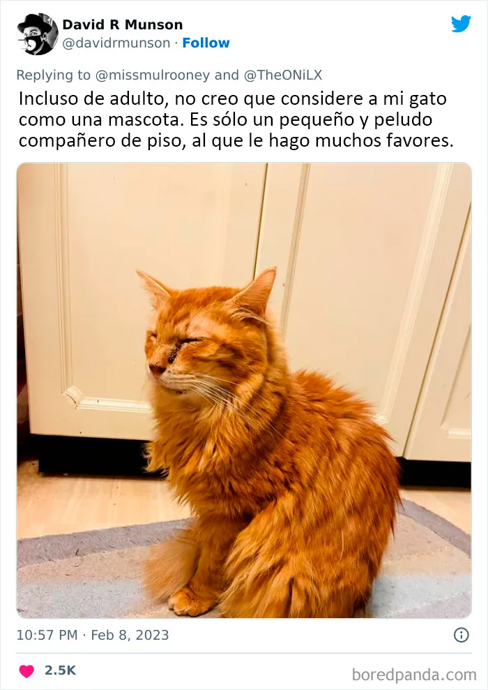 20 Adorables momentos de niños dándose cuenta de que sus mascotas no son humanas