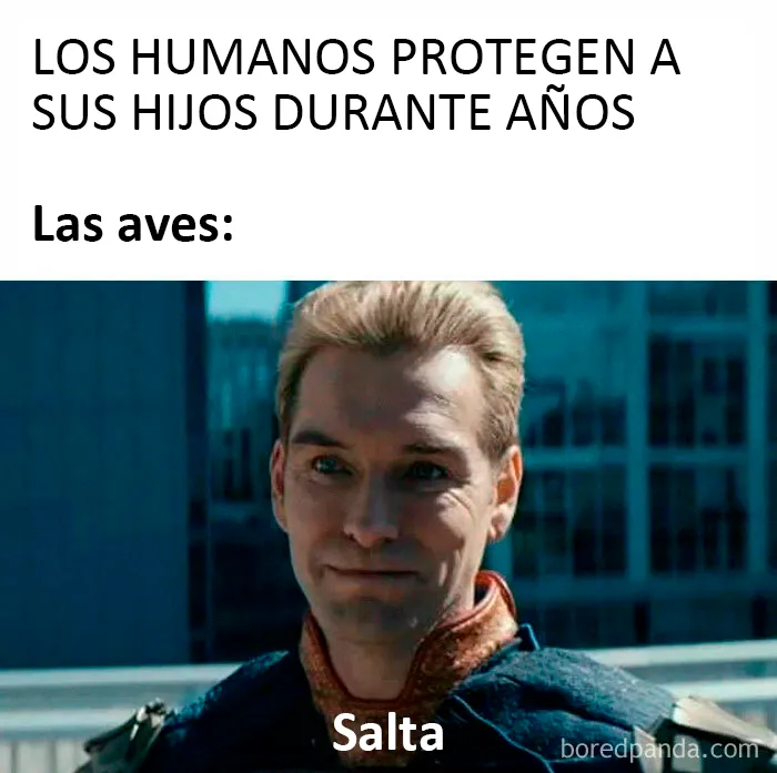20 Divertidos y educativos memes que podrían enseñarte algo
