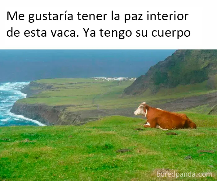 20 Memes muy sarcásticos que te harán reír