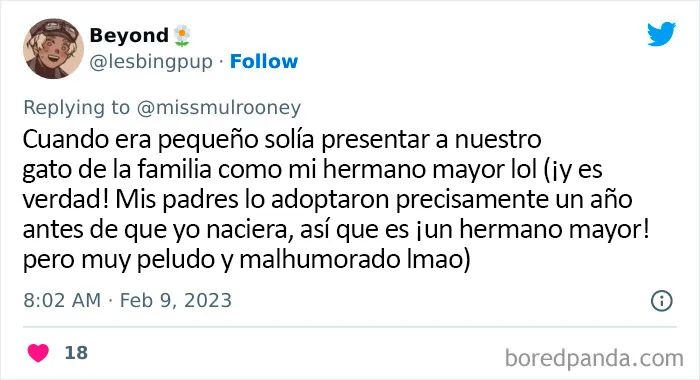 20 Adorables momentos de niños dándose cuenta de que sus mascotas no son humanas