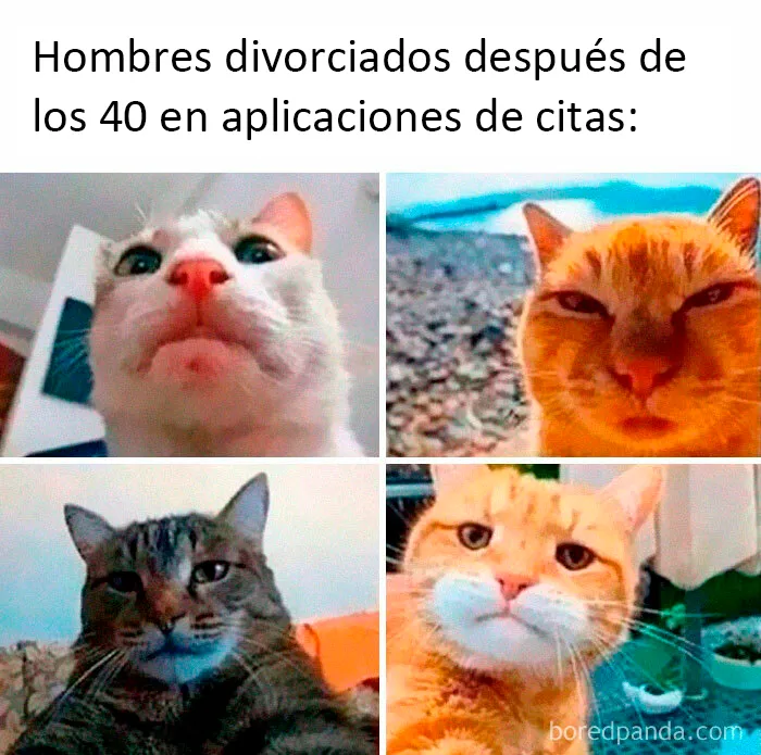 20 Memes muy sarcásticos que te harán reír