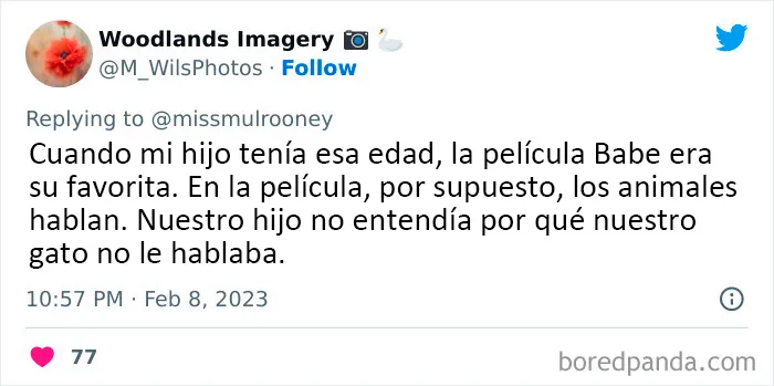 20 Adorables momentos de niños dándose cuenta de que sus mascotas no son humanas