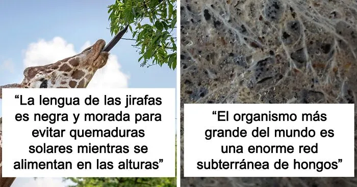 25 Datos científicos que parecen increíbles, pero son reales