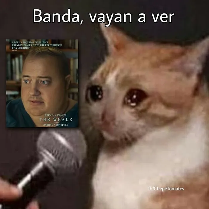 Brendan Fraser gana un Oscar e internet se inunda de emotivos memes y reacciones celebrándolo