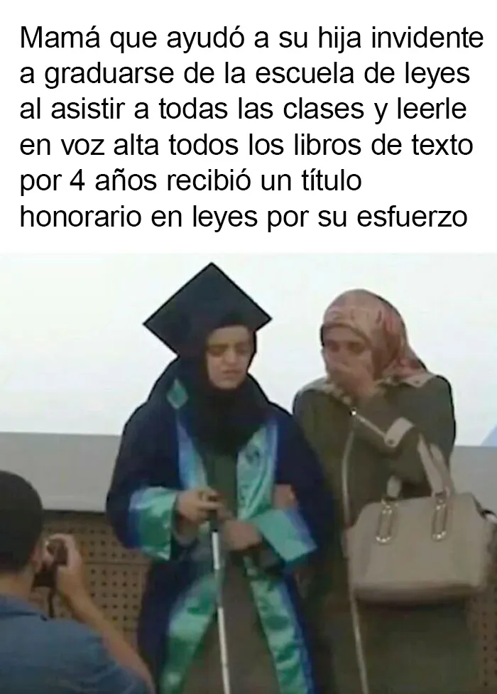 20 Memes muy respetables, divertidos y reconfortantes