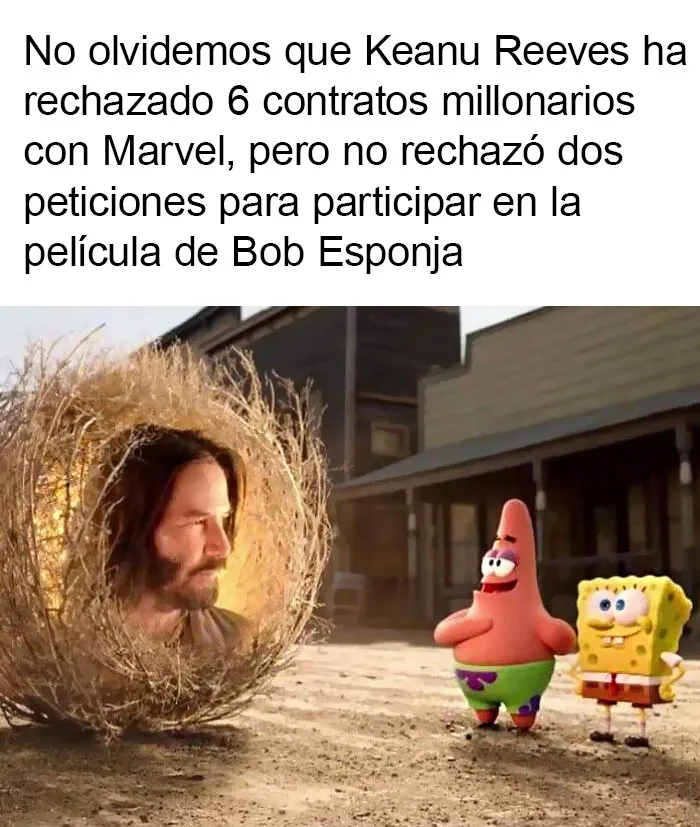 20 Memes muy respetables, divertidos y reconfortantes