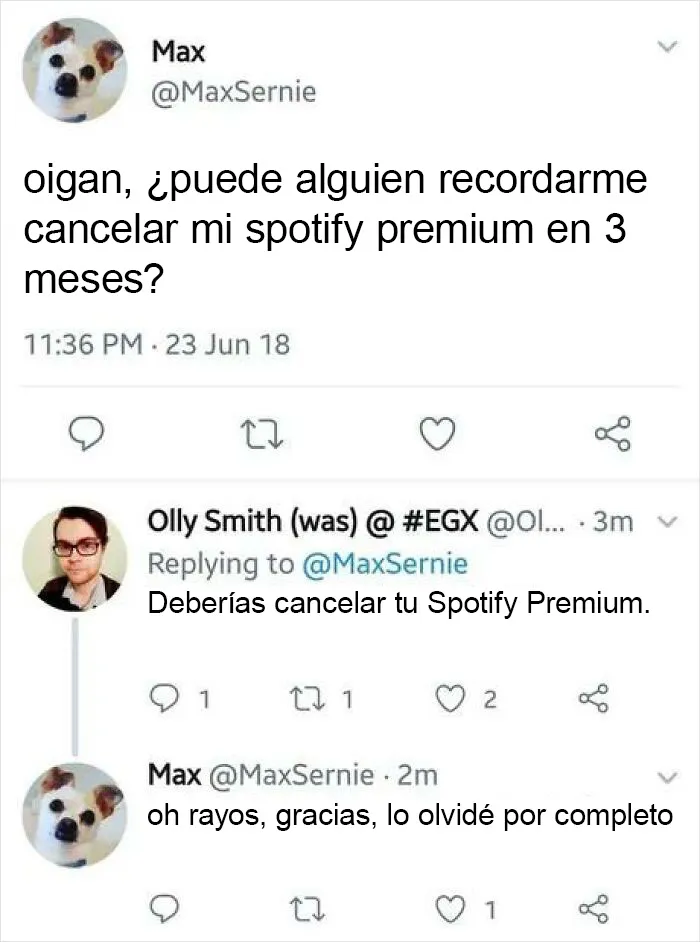 20 Memes muy respetables, divertidos y reconfortantes
