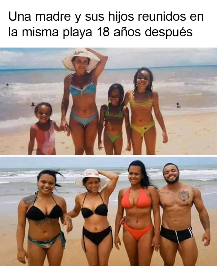 20 Memes muy respetables, divertidos y reconfortantes