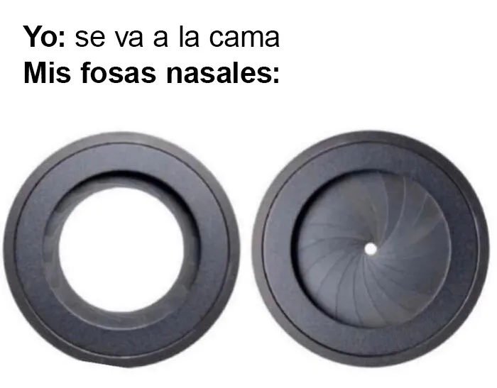 20 Memes muy respetables, divertidos y reconfortantes