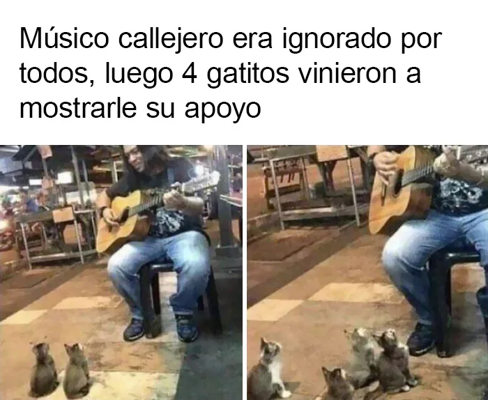 20 Memes muy respetables, divertidos y reconfortantes