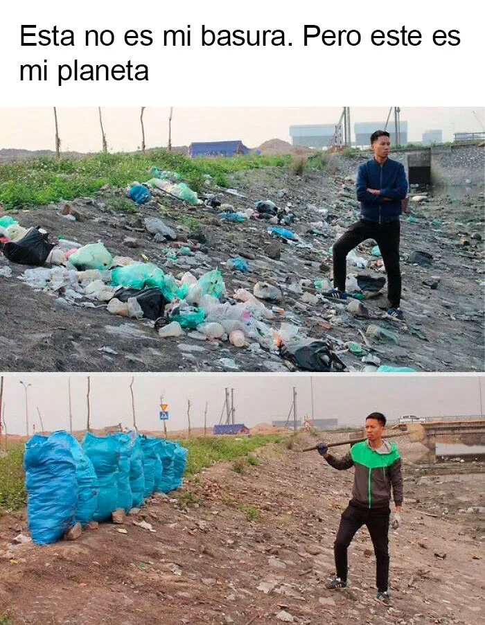 20 Memes muy respetables, divertidos y reconfortantes