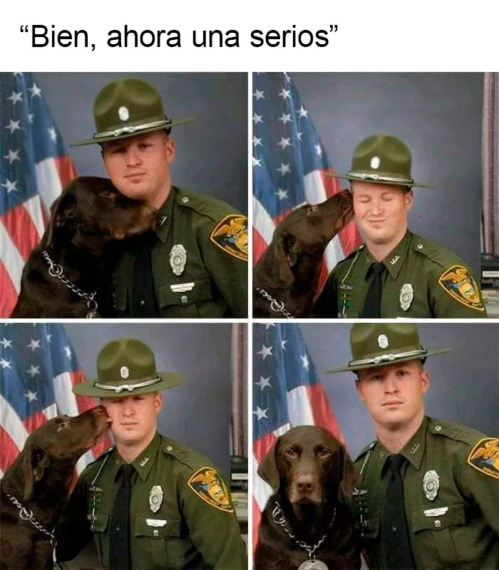 20 Memes muy respetables, divertidos y reconfortantes