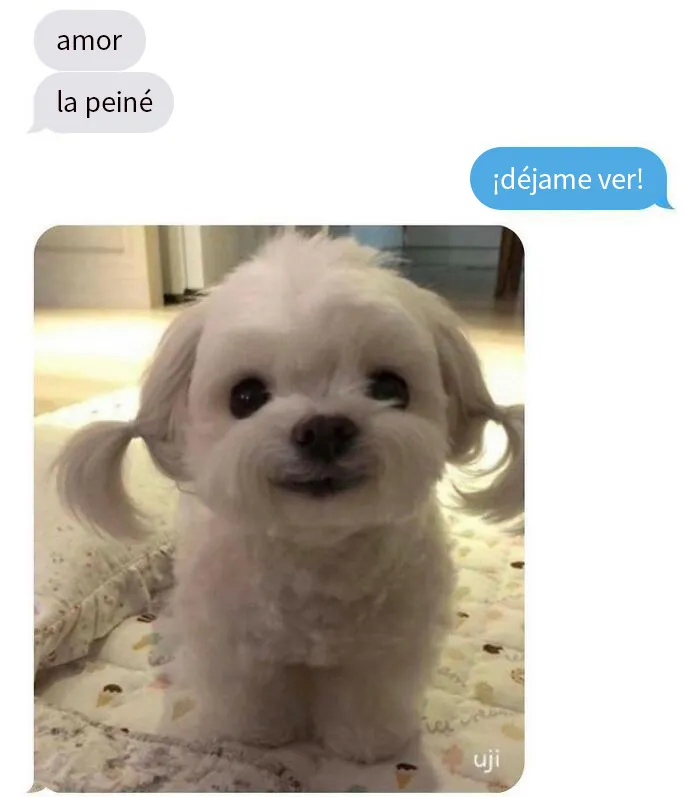 20 Memes muy respetables, divertidos y reconfortantes