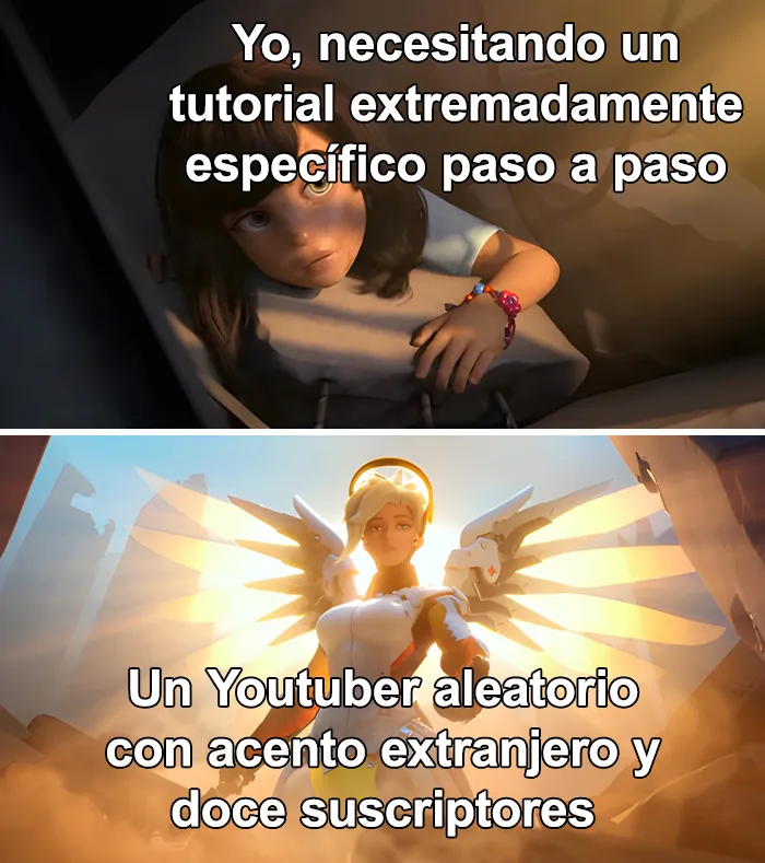 20 Memes muy respetables, divertidos y reconfortantes