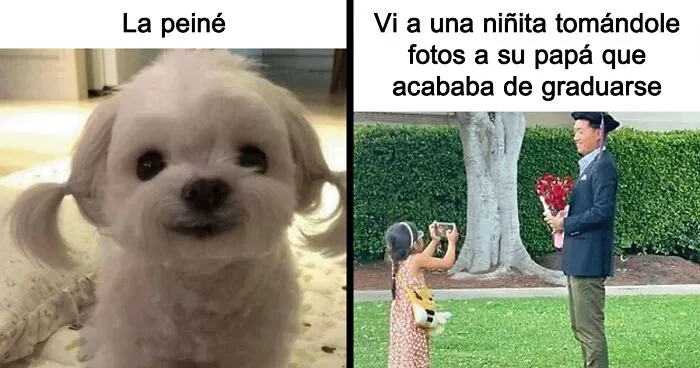20 Memes muy respetables, divertidos y reconfortantes