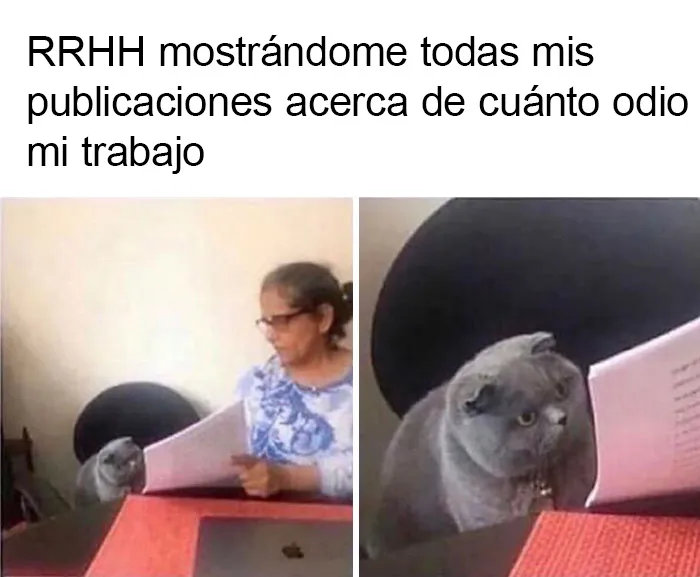 20 Divertidos memes sobre la vida laboral que querrás compartir con tus compañeros de oficina