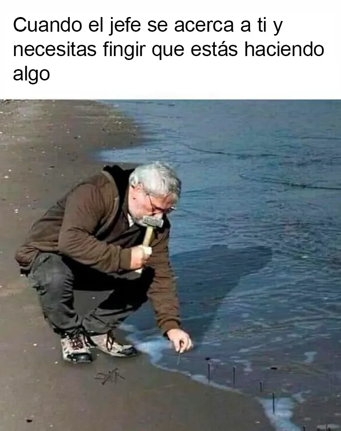 20 Divertidos memes sobre la vida laboral que querrás compartir con tus compañeros de oficina