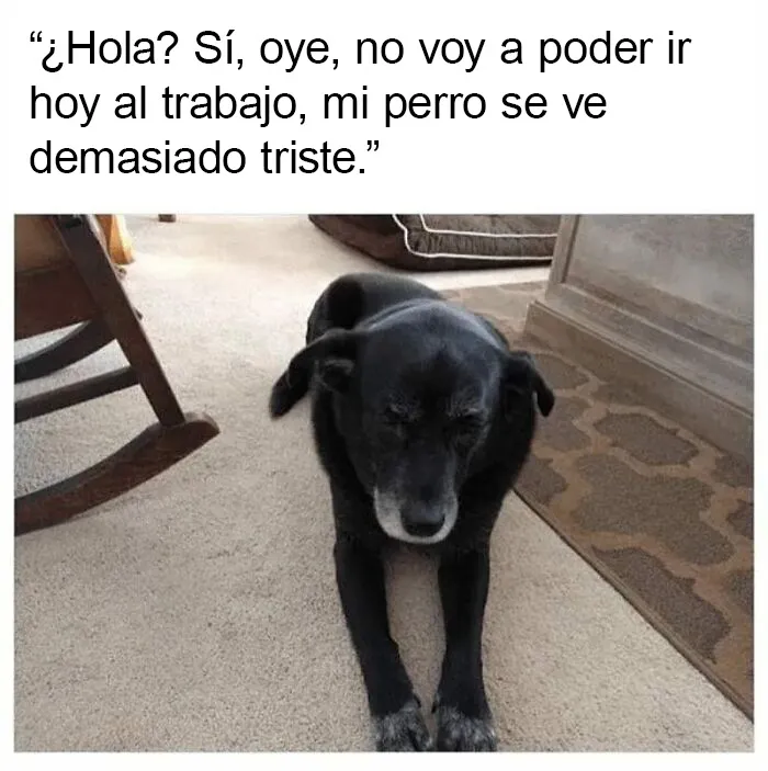 20 Divertidos memes sobre la vida laboral que querrás compartir con tus compañeros de oficina