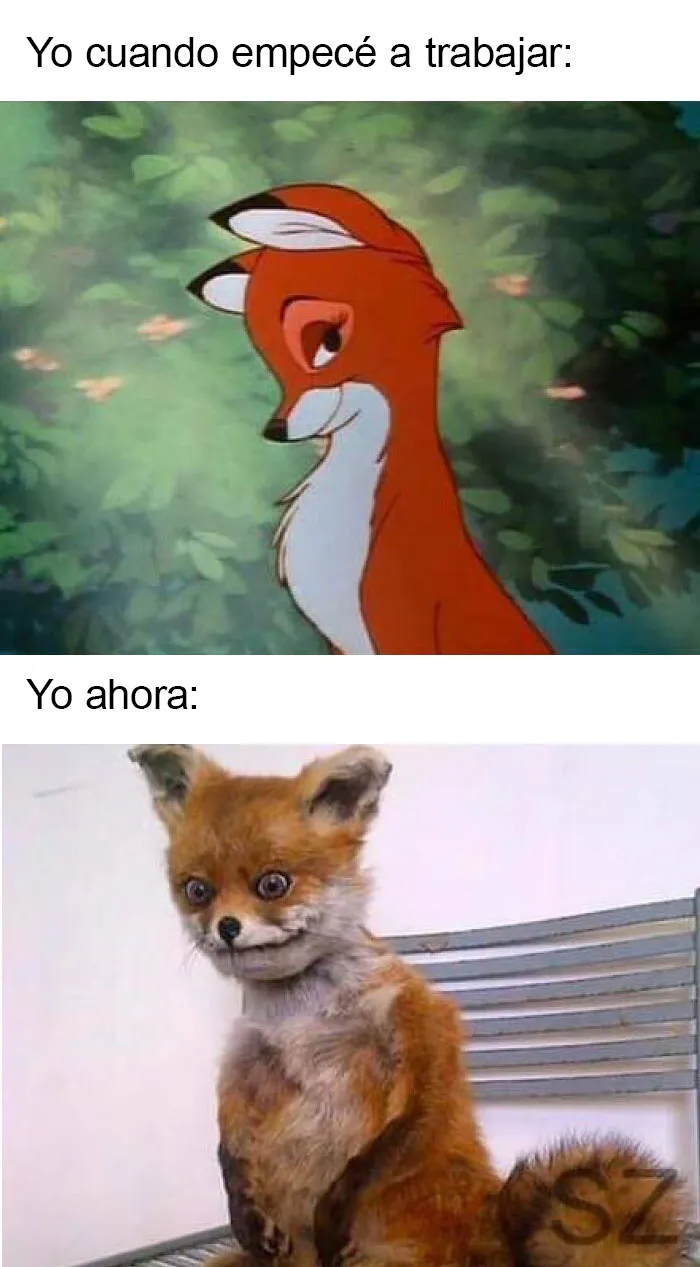 20 Divertidos memes sobre la vida laboral que querrás compartir con tus compañeros de oficina