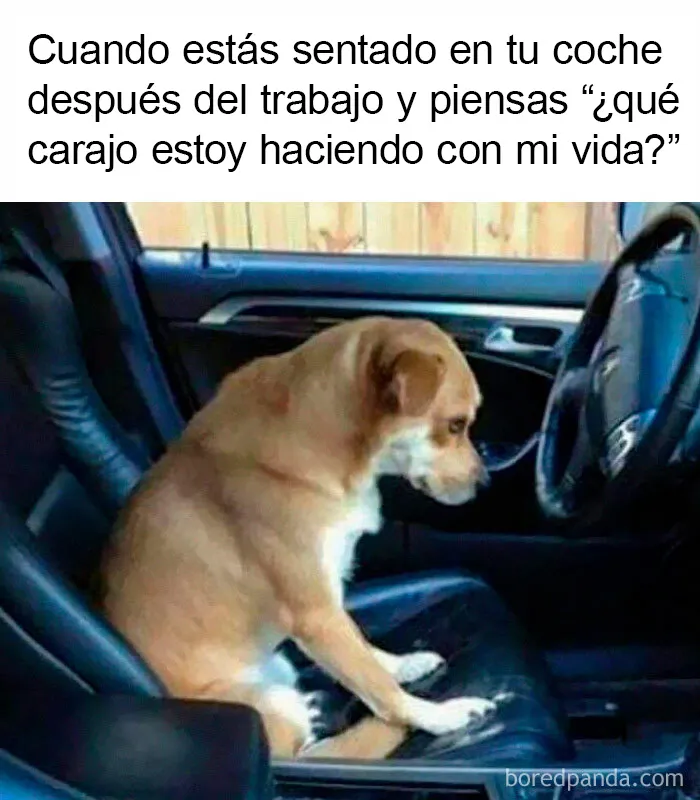 20 Divertidos memes sobre trabajo para ayudarte a sobrellevar la jornada laboral