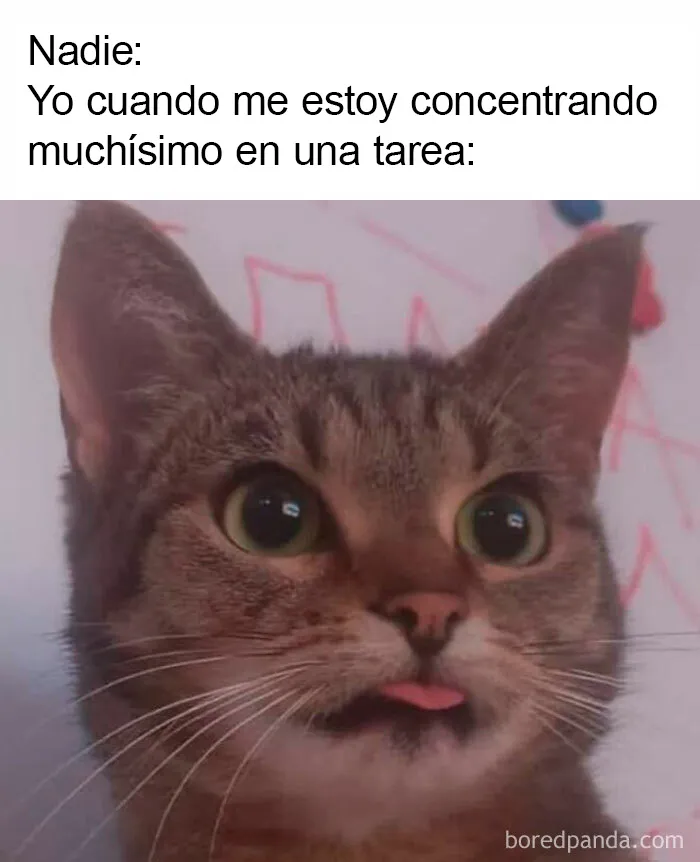 20 Divertidos memes sobre trabajo para ayudarte a sobrellevar la jornada laboral