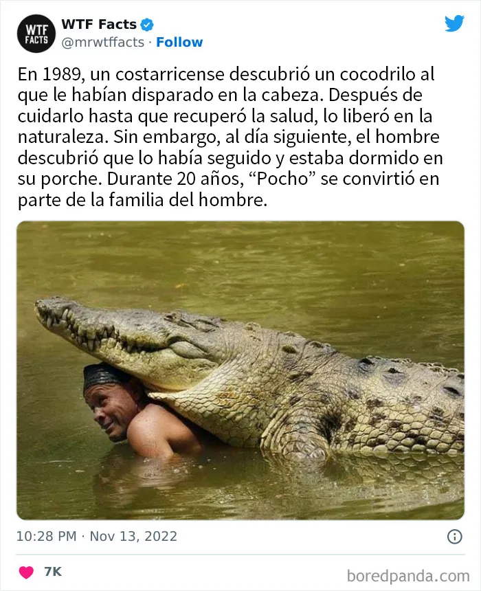 20 Datos tan extraños como verdaderos compartidos en twitter