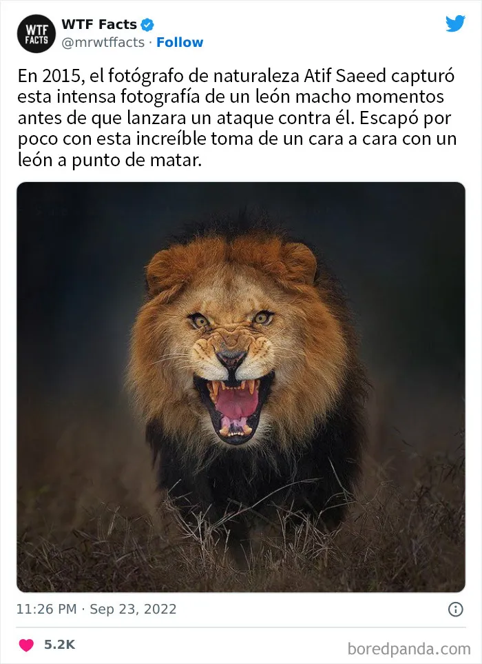 20 Datos tan extraños como verdaderos compartidos en twitter