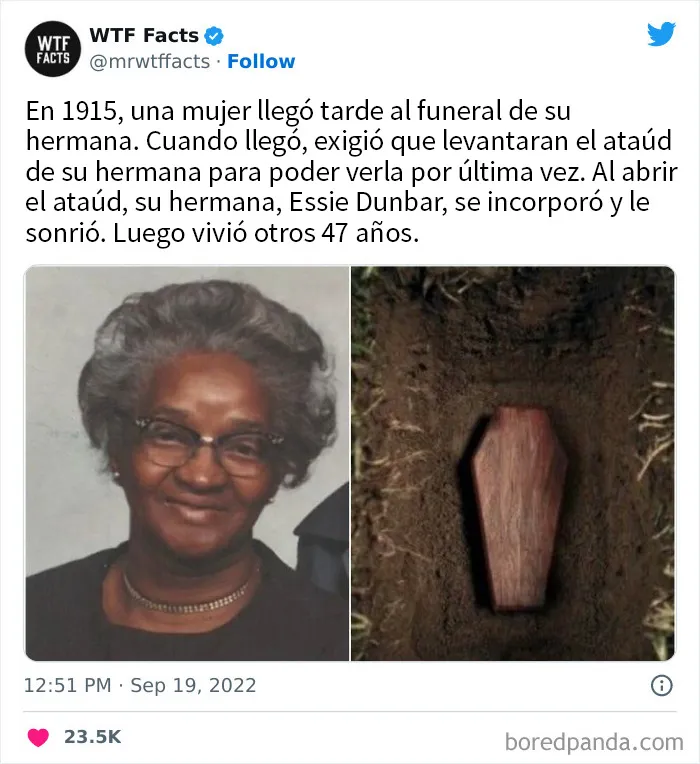 20 Datos tan extraños como verdaderos compartidos en twitter