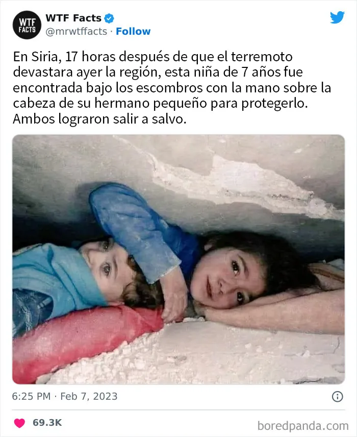 20 Datos tan extraños como verdaderos compartidos en twitter