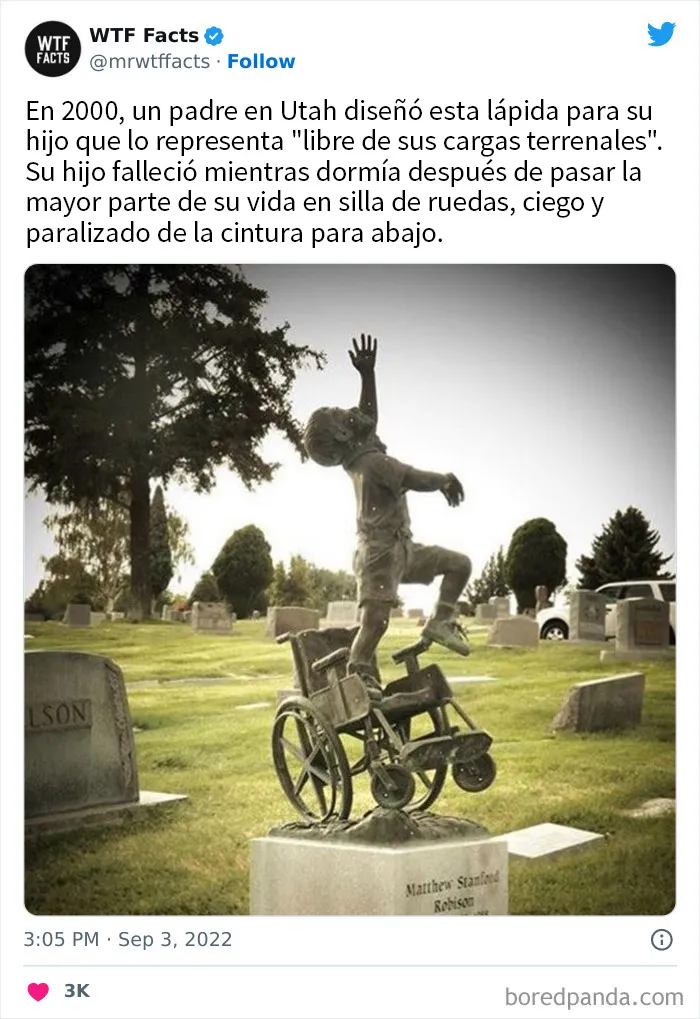 20 Datos tan extraños como verdaderos compartidos en twitter